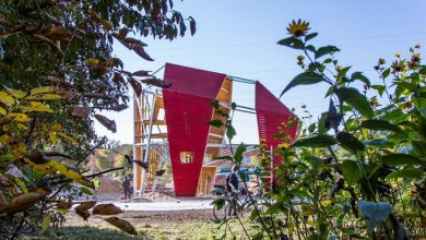 Photo of ‘Mammoth Park’ To Officially Open On Saturday