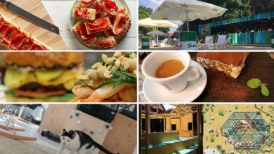 Photo of New Places To Check Out In Wrocław This July